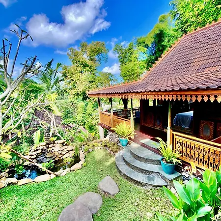 Lumina Wellness Retreat